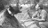 ویتک؛ خرس ایرانی که سرباز لهستانی شد